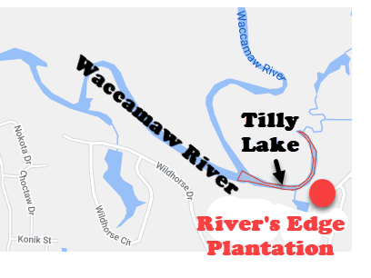 The new home community of River's Edhe Plantation in Conway at the edge of Tilly Lake.
